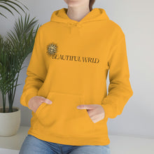 Load image into Gallery viewer, Peaceful Sun Hoodie
