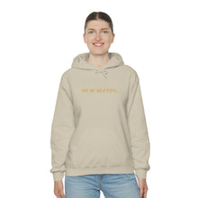 Load image into Gallery viewer, &quot;NOT SO BEAUTIFUL&quot; Hoodie
