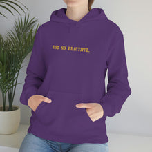 Load image into Gallery viewer, &quot;NOT SO BEAUTIFUL&quot; Hoodie
