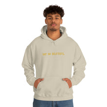 Load image into Gallery viewer, &quot;NOT SO BEAUTIFUL&quot; Hoodie
