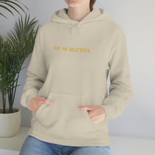 Load image into Gallery viewer, &quot;NOT SO BEAUTIFUL&quot; Hoodie
