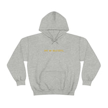 Load image into Gallery viewer, &quot;NOT SO BEAUTIFUL&quot; Hoodie
